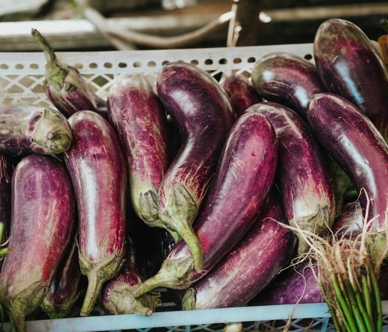 aubergines-confites-vinaigres-codina-recettes-balsamique-lagrasse