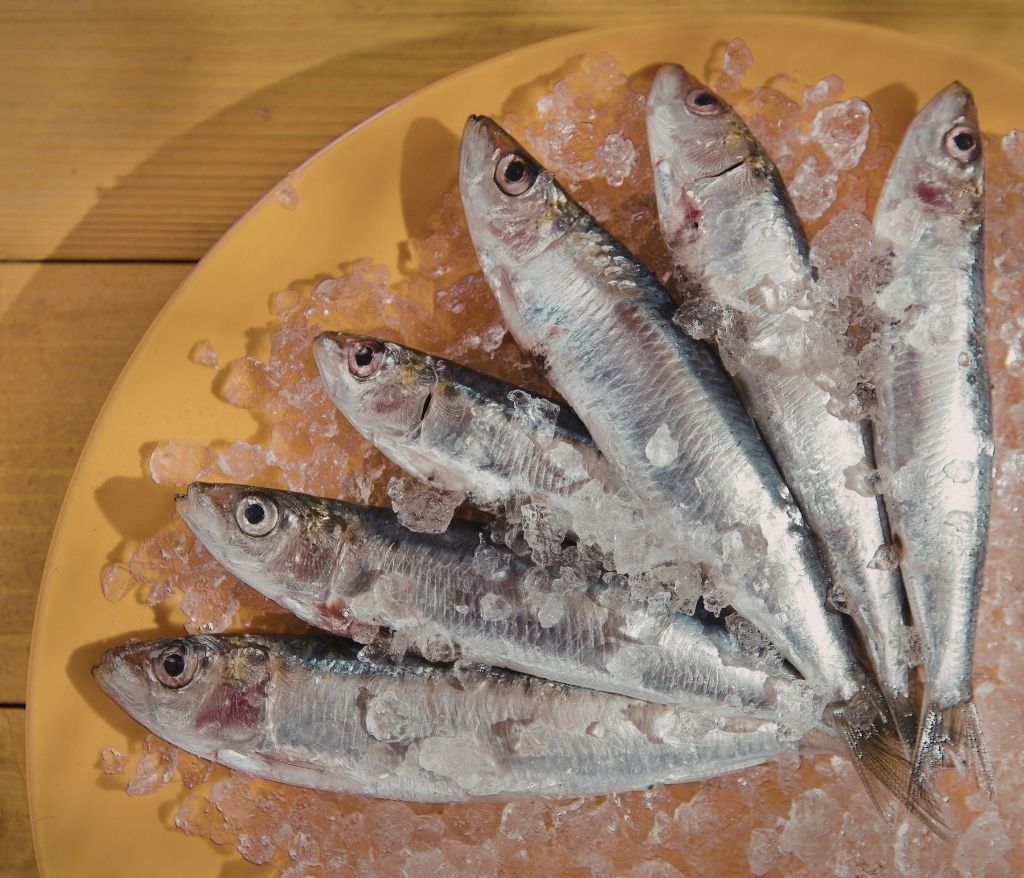 tartare-de-sardines-vinaigres-codina-artisanat-recettes-lagrasse