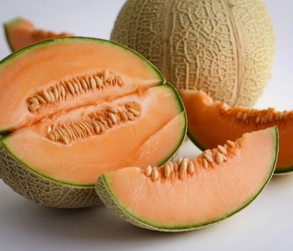 verrines-de-melon-vinaigres-codina-artisanat-recettes-lagrasse