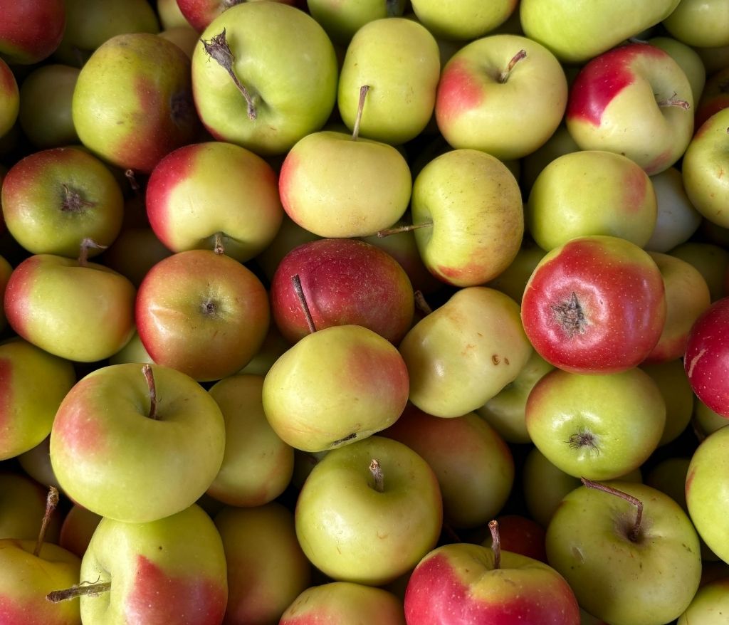 Poêlée de pommes-vinaigres-codina-artisanat-recettes-lagrasse
