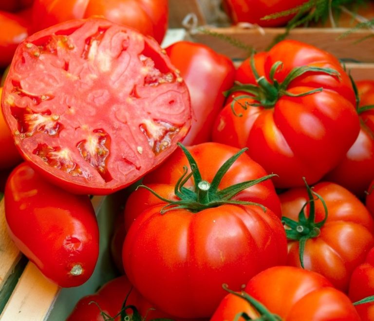 tomates-coeur-de-boeuftatin-de-poires-vinaigres-codina-artisanat-recettes-lagrasse