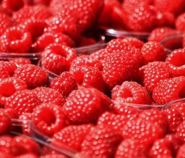 une-touche-de-framboise-vinaigres-codina-artisanat-recettes-lagrasse