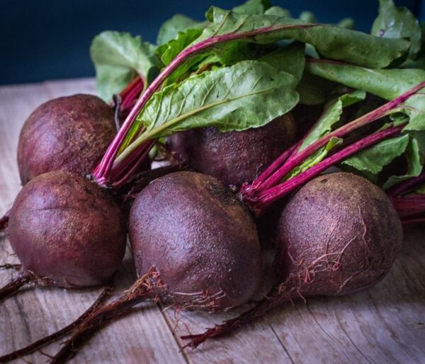 Douces betteraves-vinaigres-codina-artisanat-recettes-lagrasse