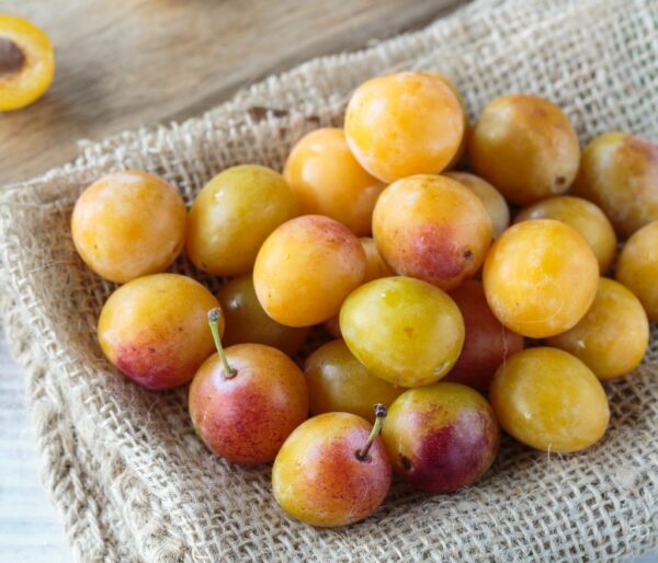 confiture de mirabelles-vinaigres-codina-artisanat-recettes-lagrasse