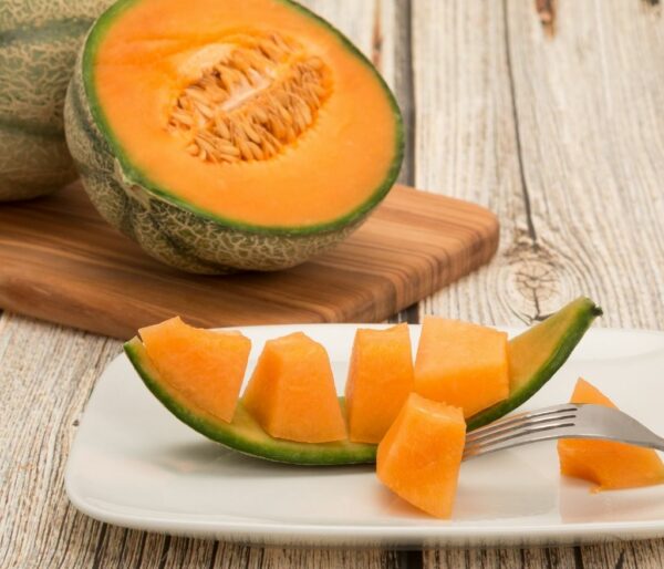 melon en entrée-vinaigres-codina-artisanat-recettes-lagrasse