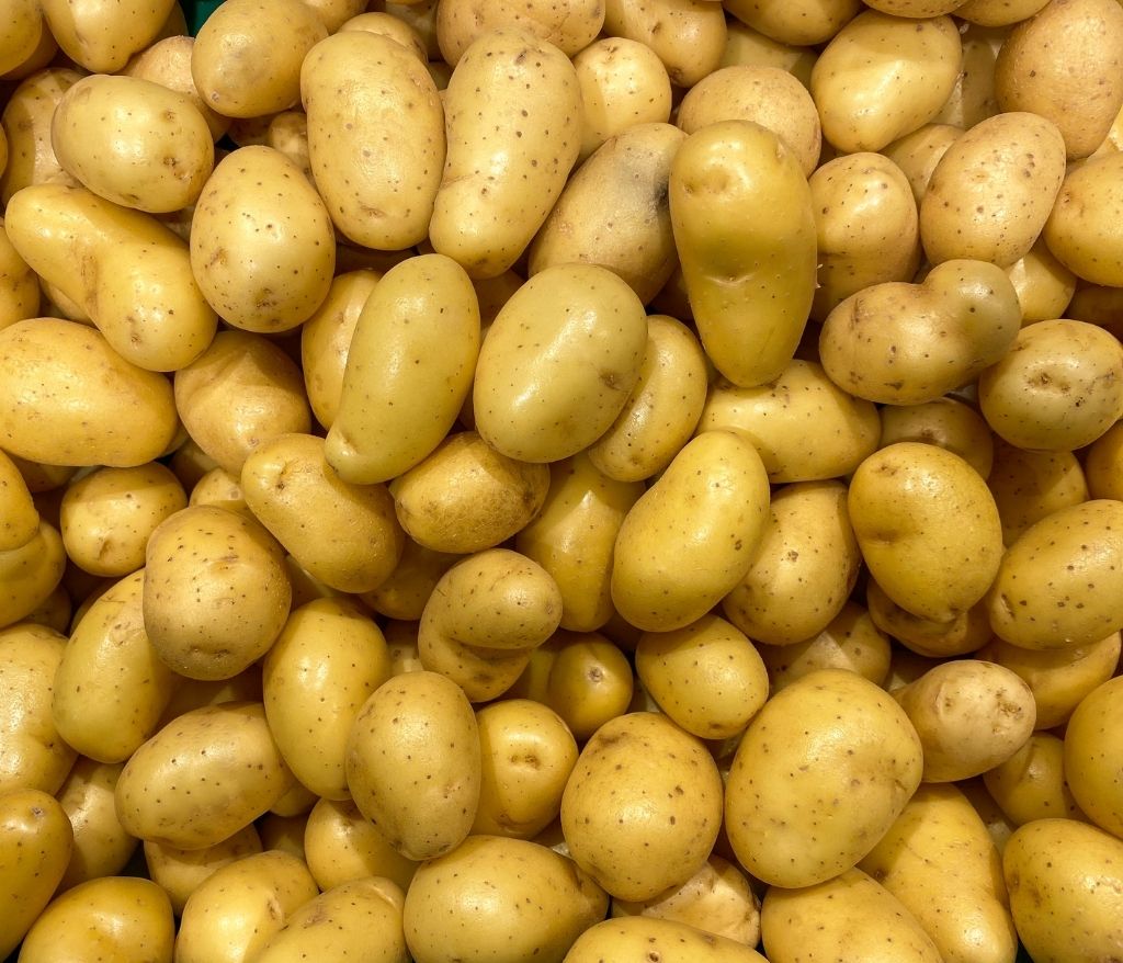 pommes-de-terre-grenaille-au-four-vinaigres-codina-artisanat-recettes-lagrasse