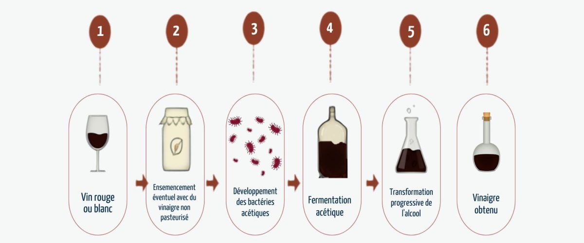 mere-vinaigre-fermentation-acetique(1)