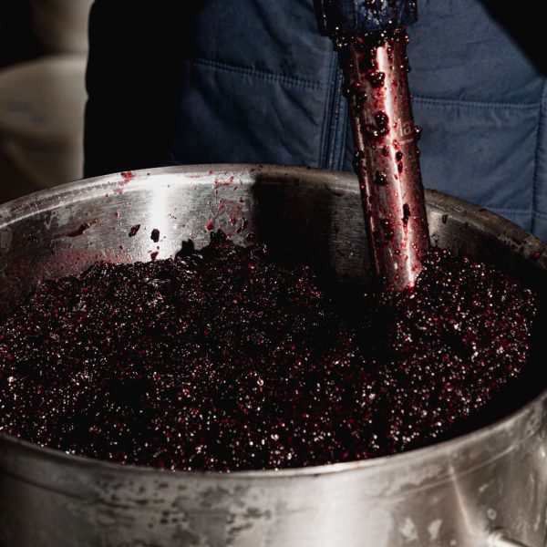 vinaigrerie-codina-fruits-mixes-balsamique-mures